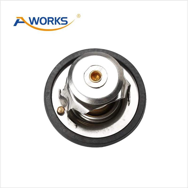 1635905 Car Thermostat