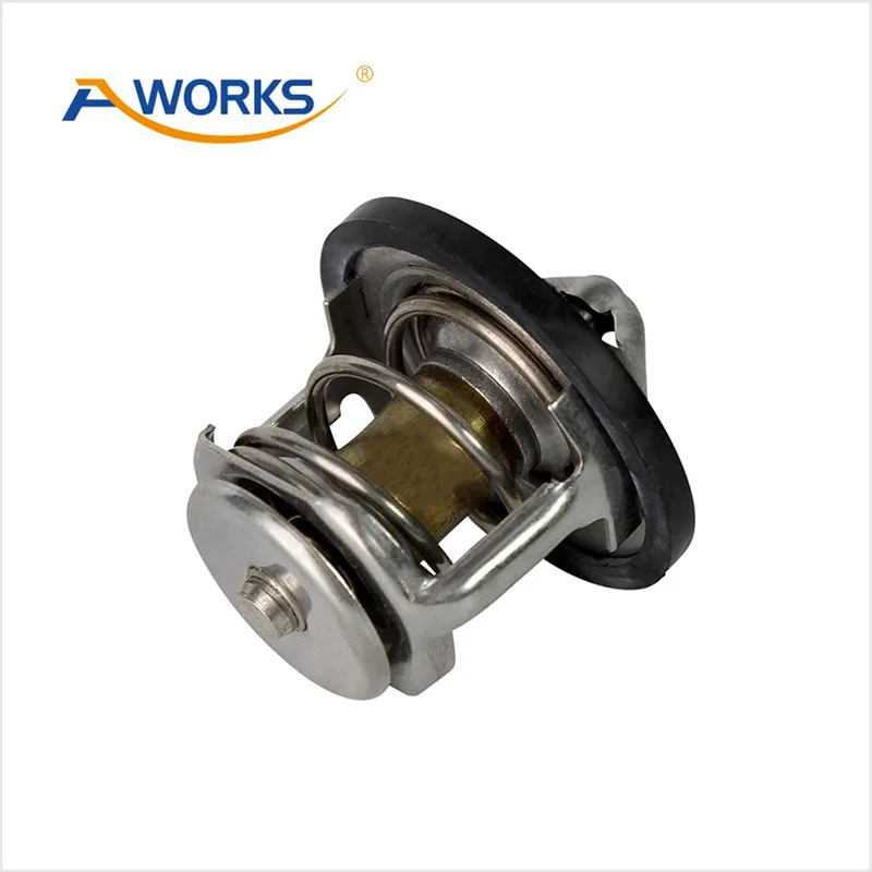212004M500 Car Thermostat