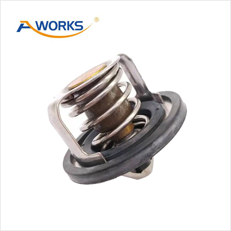 212306N20A Thermostat
