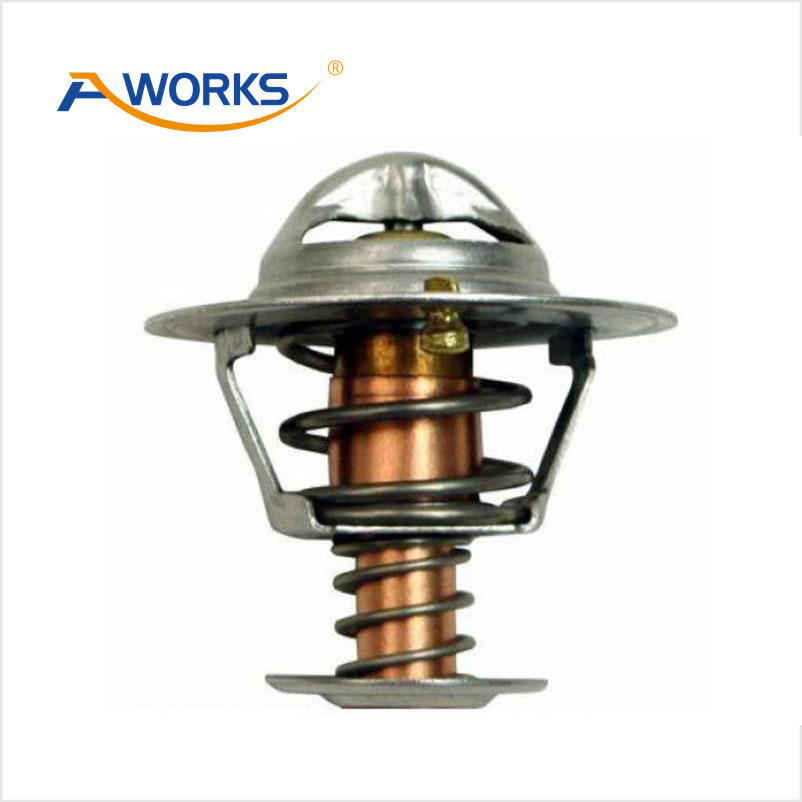 19300PM3003 Thermostat