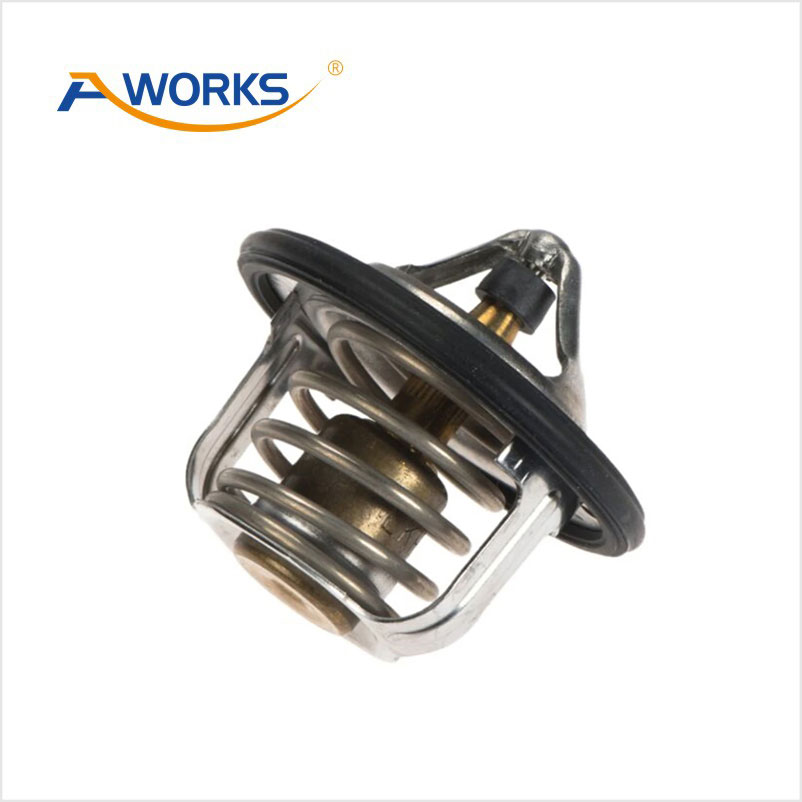 212306N20A Thermostat