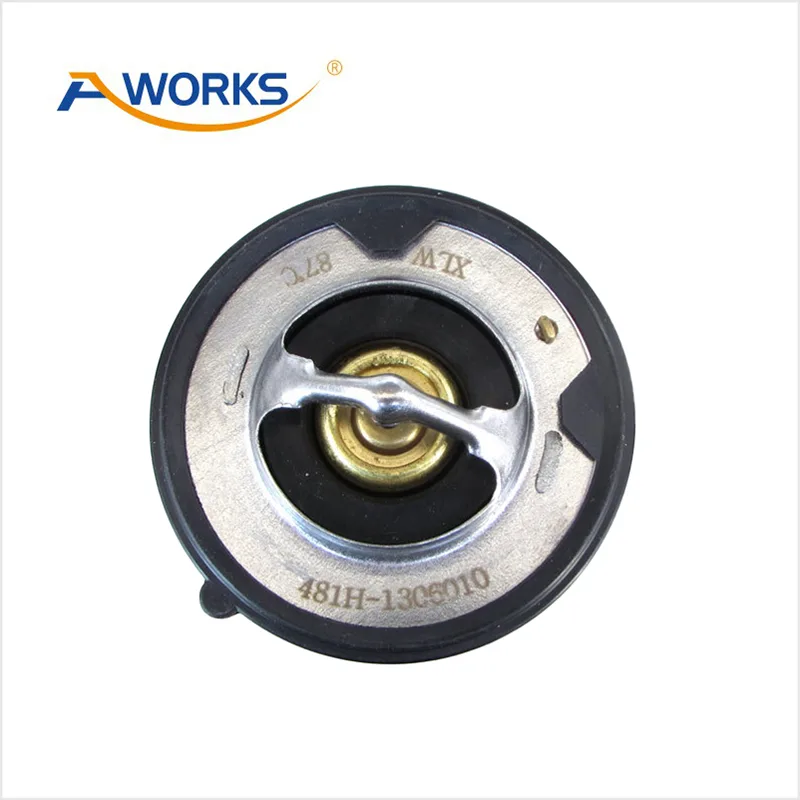 481H1306010 Car Thermostat