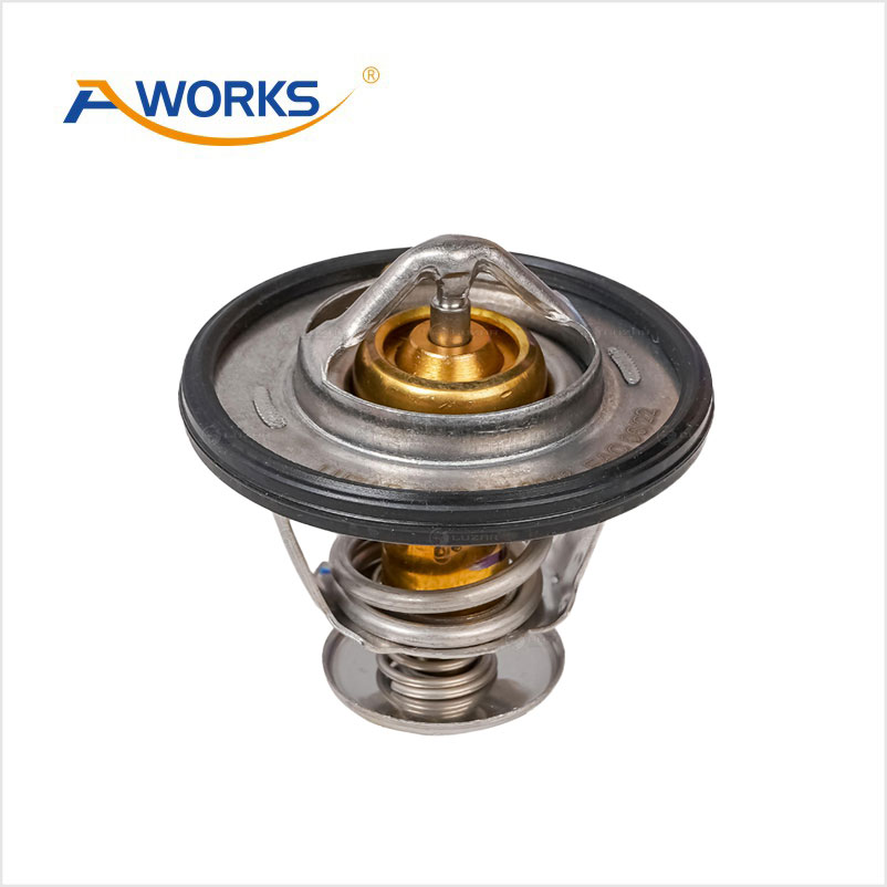 1306100EG01 Thermostat