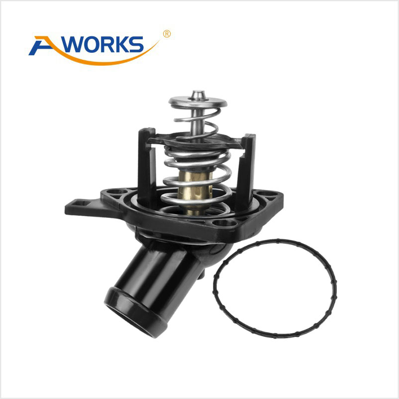 19301RAF003 Thermostat