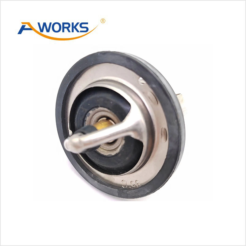 212306N20A Thermostat