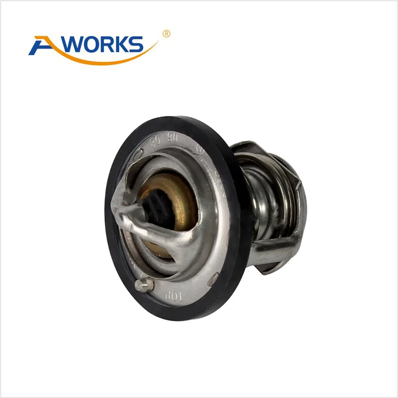 212004M500 Car Thermostat