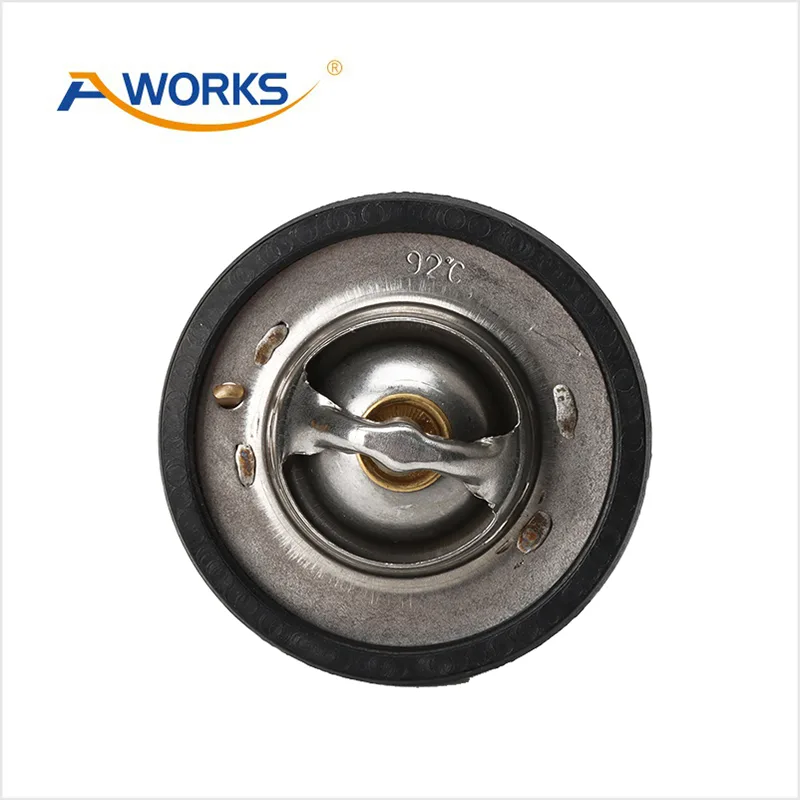 1635905 Car Thermostat