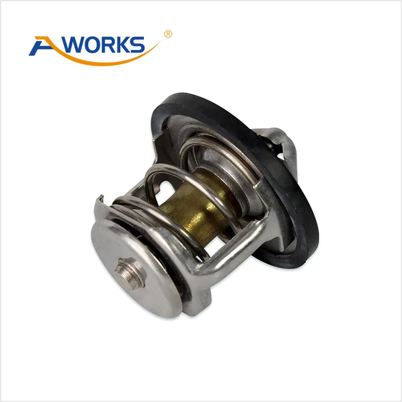 212004M500 Car Thermostat