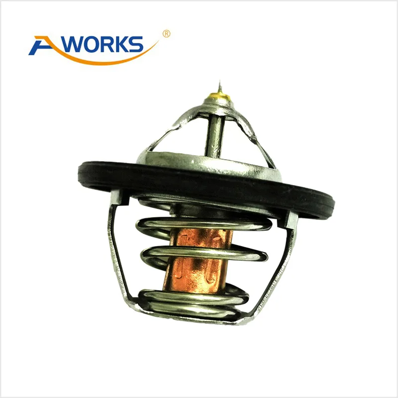 2550038400 Car Thermostat