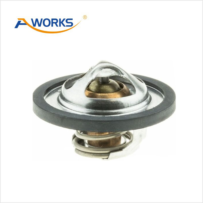 212306N20A Thermostat