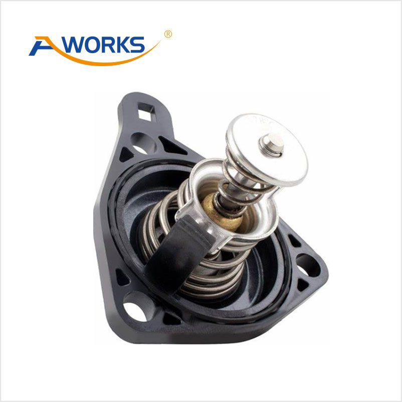 19301RAF003 Thermostat
