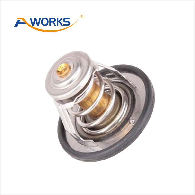 1306100EG01 Thermostat