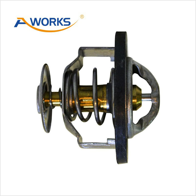 2120053J00 Thermostat